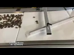 Автоматическая алюминиевая фольга создавая программу-оболочку машина упаковки для плоского шоколада 380V video