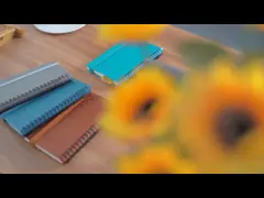 PU Softbound ECO Friendly Academic Planner 2023 2024 Medal Spiral