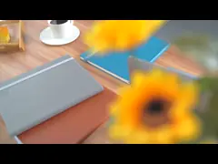 Бумажное расписание цвета слоновой кости большой академичной ночи плановика 100GSM голубое еженедельное video