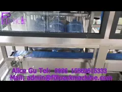 Full Automatic 5 Gallon Water Filling Machine 450BPH 20 Liter Barrel Drinking