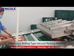 Автоматический CE машины машины упаковки вакуума/уплотнителя упаковки еды одобрил video