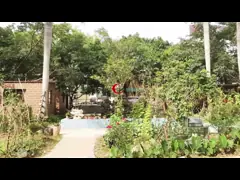 Chenhui (Guangzhou) Trading Co., Ltd. Company Profile