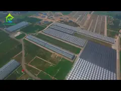 Сельскохозяйственная ультрафиолетоустойчивая пленка политунеллевая томатная теплица для цветочных растений video