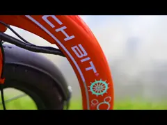 Богатый фронт 16 20 велосипеда скутера скутера 350w колеса e бита H100 большой электрический поднимает 36v video