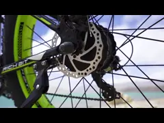 Автошина ЗАПАСА США ЕС долгосрочная жирная электрическая богачи Hardtail мотоцикла местности велосипеда 1000w 17Ah все сдержала Rt-012 video