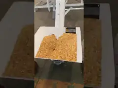 Производственная линия 11kw питания птицы GM250A 1.5t/H для различных кормов для животных video