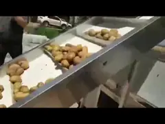 автоматический замороженный французский картофель фри 380v делая производственную линию машины для фабрики video