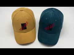 Ткань корд ODM вышила логотипу 58cm бейсбольных кепок изготовленному на заказ для Unisex video