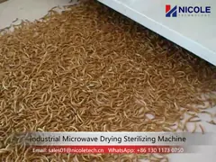 Коммерчески одобренный CE SUS 304 Tenebrio Molitor печи тоннеля микроволны video