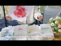 Stocklot пеленки младенца большой продукции фабрики устранимое высококачественное вся пеленка младенца размера в связках сделанных в Китае video