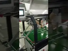Servo Automatic Air Bubbles Pressing Machine With Manipulator