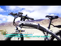 Электрический велосипед крейсера сделал горным велосипедом горного велосипеда велосипедов горы сплава для продажи высокоскоростным большие колеса video