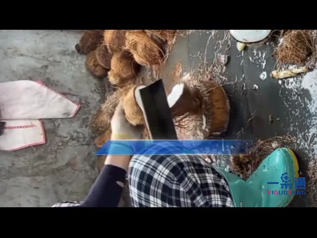 Производственная линия молока машины/миндалины обработки воды кокоса/обработка фруктового сока видео