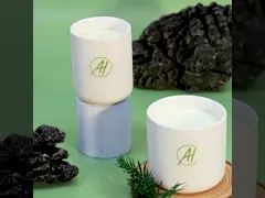 400g Free Sample White Metal Lid Ceramics Jar Scented Candle 10*10cm