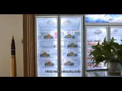 Plug In System Commercial Display Freezer Double door Showcase Product Videos,Plug In System Commercial Display Freezer Double door Showcase Product Video Channel