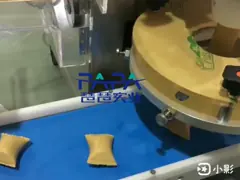 Полноавтоматическое arancini P160 делая машину/encrusting машина video