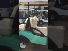 Тележка гольфа тележки гольфа мини 48V колеса батареи 4 электрическая новая для продажи video