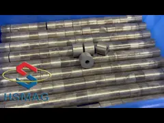 Соединение высокого вращающего момента редкой земли HSMAG SmCo магнитное для безмолвного мотора шага ROHS video