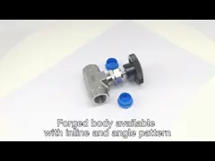 Vanne à pointeau à filetage femelle en acier inoxydable AFK haute pression 2 voies 3/4in 3000psi