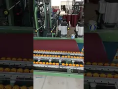 Зашкурить Y-веса глинозема Zirconia подпоясывает деревянную ткань полиэстера пола делает водостойким video