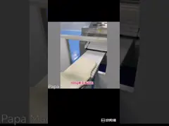 Плюшка Siopao ПАПЫ автоматическая испаренная делая машину Bao/китайские плюшки делая машину video