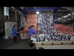 Maximum 4 Layers Steamer Machine Fully Automatic 35KW