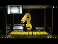 Достигаемость 717mm осей руки LRMate-200iD 6 робота Fanuc Palletizing максимальная с рельсом робота GBS video