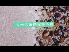 Сортировщик риса / кукурузы / кукурузы / цвет зерна 8 - 16Т/ч video