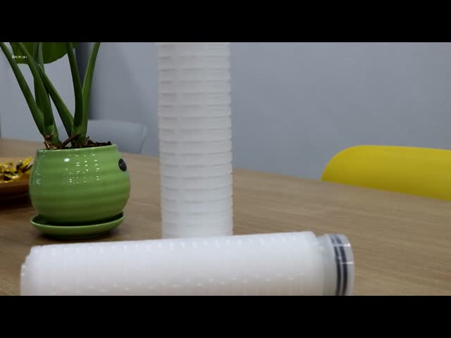 Hydrophilic Asymmetric PES Membrane Pleated Cartridge Filter with 100% Integrity Tested and 0.1 µm Micron Rating for Microelectronics