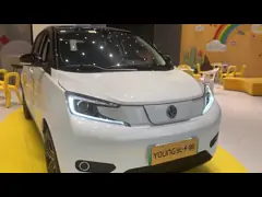 Long Distance Range Electric Utility Vehicle 3.74m Long 5 Doors 4 Seats Hatchback