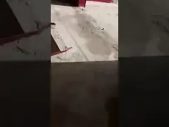 подъем автомобиля столба 3.2T 4T 5T 2 надземный для потолка в 11 ногу электрического открывает безосновное video