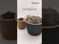 Цветочные горшки пробочки бака завода плантатора естественной пробочки вися video