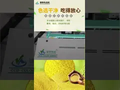 Automatic Full Color CCD Cashew Nut Color Sorter Machine For Groundnut Sorting