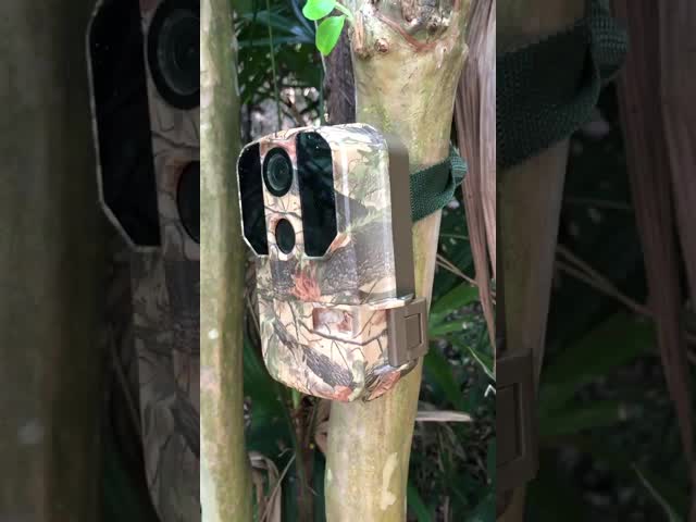 Ультракрасная камера живой природы ночного видения Ip65 1080p водоустойчивая HD 20 метров игры видео