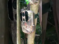 Ультракрасная камера живой природы ночного видения Ip65 1080p водоустойчивая HD 20 метров игры video