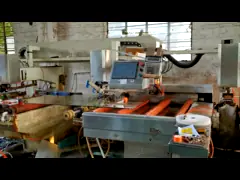 Подгонянный ливень искусства Frost закалил стеклянную дверь Frameless с отполированным отверстием ручки video