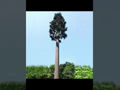 Одиночный поляк GSM закамуфлировал башню клетки сосны video