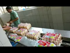SWSF 800 Maszyna do pakowania w folię termokurczliwą Butelki zbiorcze Automatyczna maszyna do pakowania w folię termokurczliwą