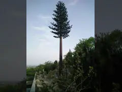 башня пальмы базовой станции 4g Monopole стальная с корой дерева листьев камуфлирования video