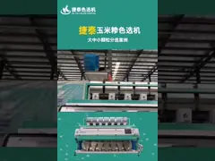 Машина для сортировки пшеницы ODM Multi Grain 220V 50Hz video