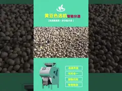 Точность машины сортировщицы цвета фасолей ИОТ РГБ красная зеленая черная высокая video