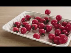 Плиты подносов суши жмыха сахарного тростника естественного цвета прямоугольные Компостабле устойчивые video