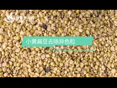 Машина сортировщицы цвета кофейных зерен Дал чечевицы КЭ с датчиком ККД video