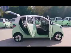 Right Hand Drive Hatchback Electric Cars Automatic RHD 115V Battery
