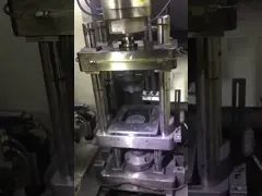 Sichuan Cross Trading co., Ltd  Plant operation line.4