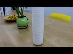 Водоочистка плиссировала длину патрона фильтра 10 дюймов 1,2 метра кубера в час video