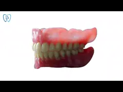 Digital Design 3D Printed Flexible Acrylic Denture Dental Lab