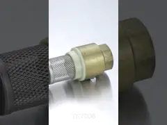 Чистый полив 1/2 1 2 односторонний невозвратный латунный задерживающий клапан с сетчатым фильтром из нержавеющей стали video