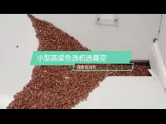 Машина мини цвета риса 127 каналов сортируя для мозоли пшеницы video