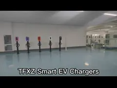 АК 200В заряжателя ЭВ заряжателя 4Г электромобиля одиночной фазы супермаркета 16Амп быстрый video